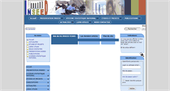 Desktop Screenshot of inseedtchad.com